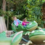 Image représentant le Les grenouilles