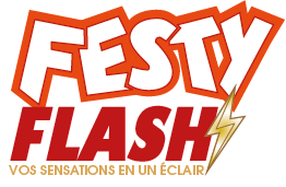 Logo festy flash